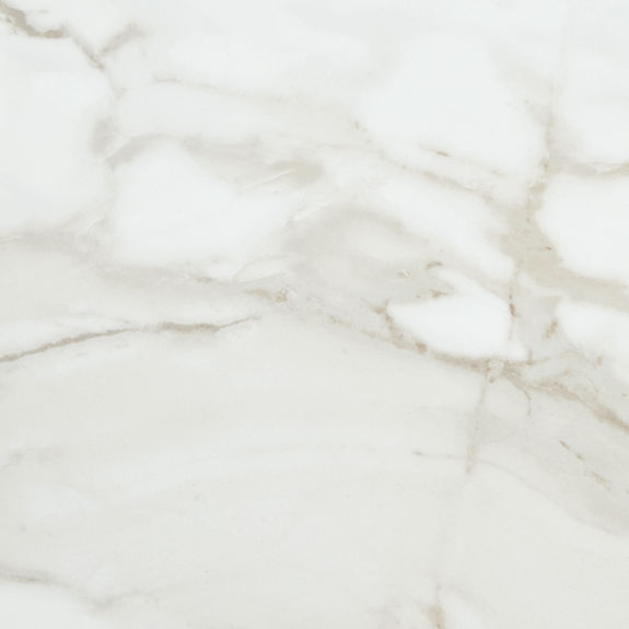 Magnolia 12x24 Polished Floor Tile | Platinum by Daltile