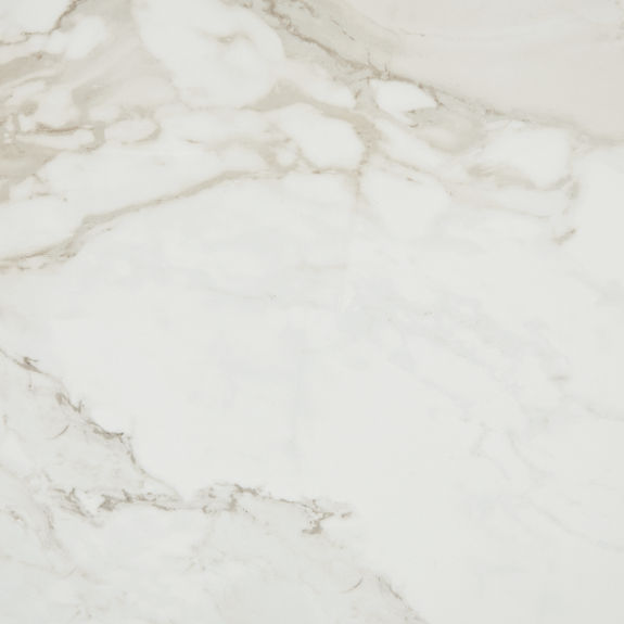 Magnolia 24x24 Polished Floor Tile | Platinum by Daltile