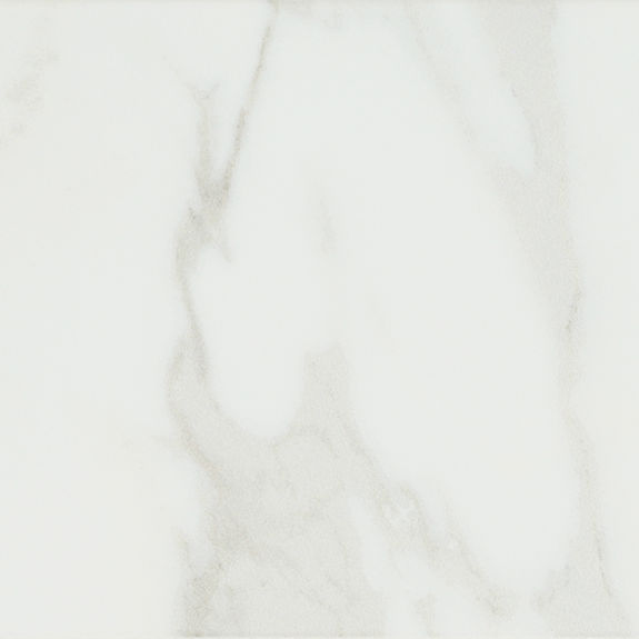 Magnolia Rectangle 6X18 Glossy