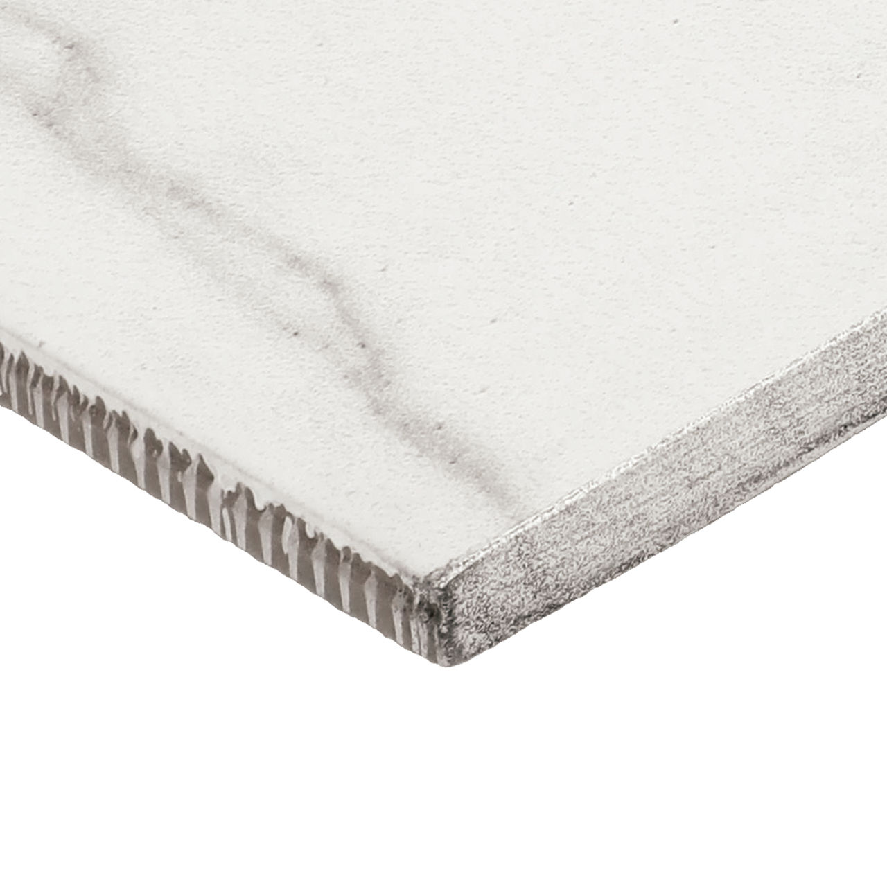 Platinum - Oyster Oyster, Rectangle, 12X24, Matte