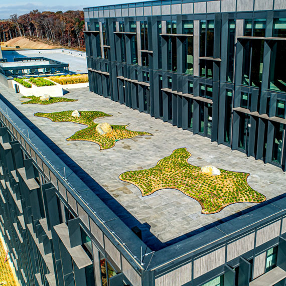 Exterior view of Charlotte Corporate Campus with light gray porcelain pavers on ground.