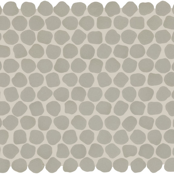 Desert Gray