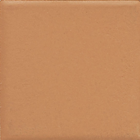 Pumpkin Spice D090