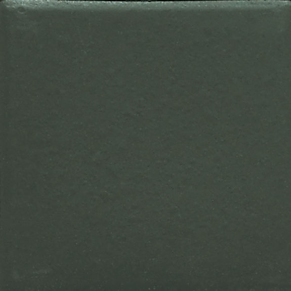Oak Moss D195