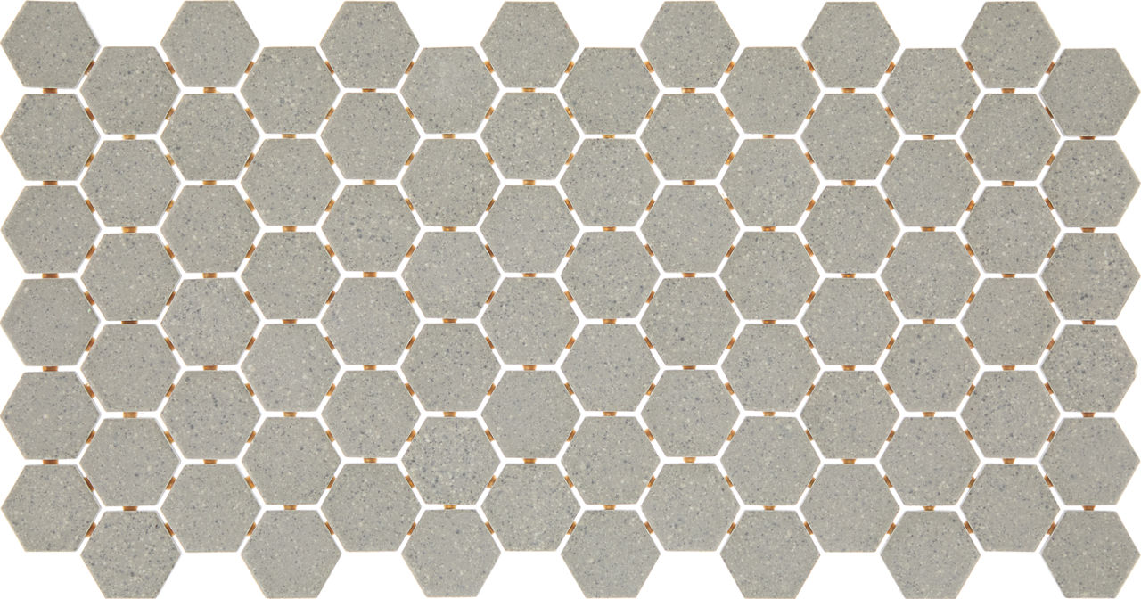 DAL_D200_2x2_Hex_Msc_DesertGraySpeckle_MT_Silo_03