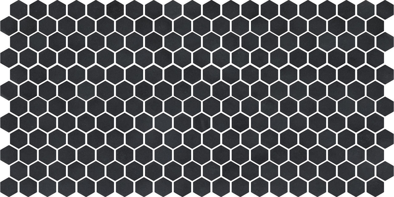 DAL_D311_1x1_Hex_Msc_BlackEbony_MT_Silo_02