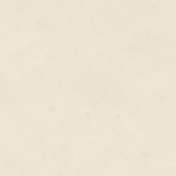 DAL_D317_2x2_Biscuit