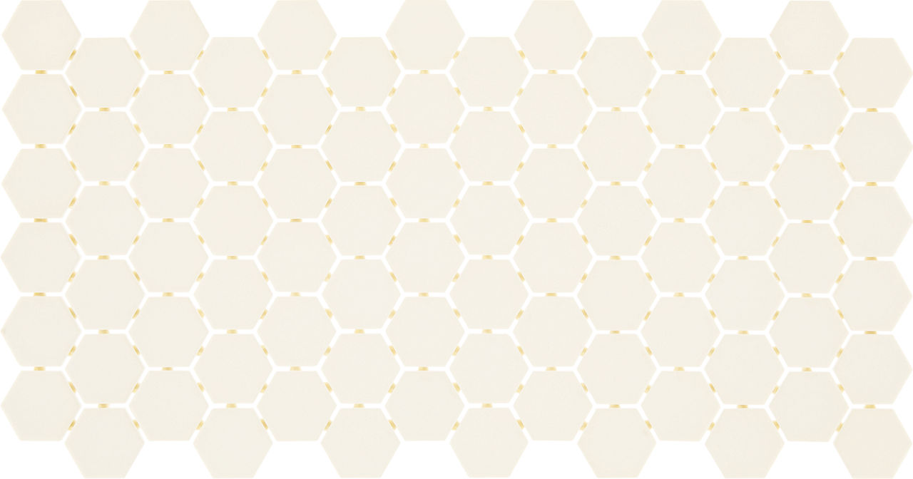 DAL_D617_2x2_Hex_Msc_ArcticWhite_MT_Silo_03