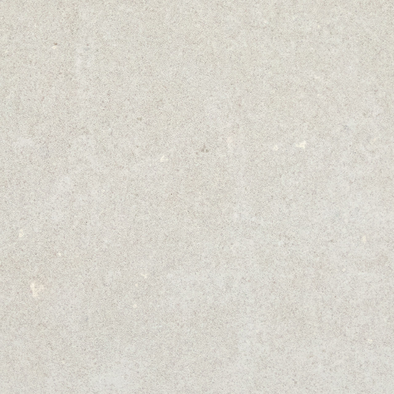 DAL_EX40_12x24_Chalk_MT_Detail