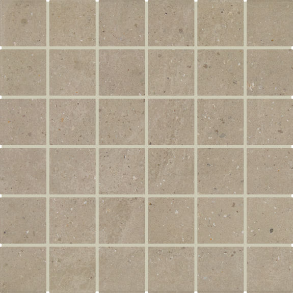 EX41 Gesso