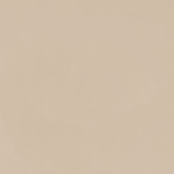 Palomino FA58