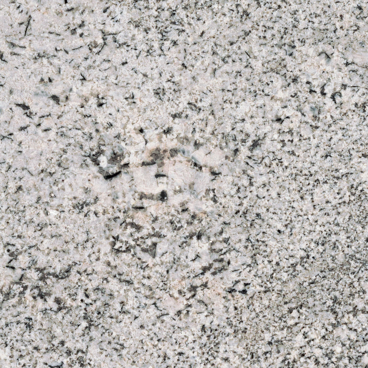 DAL_G075_SaddleWhite_PL_Detail