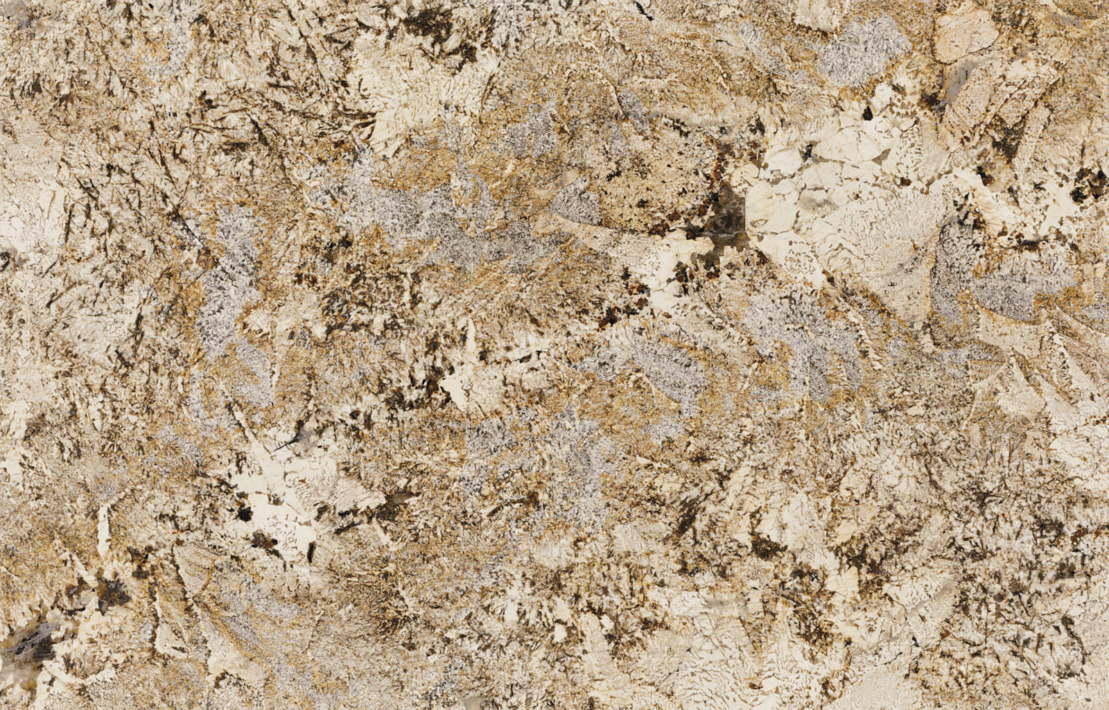 Delicatus Gold Granite scene 5