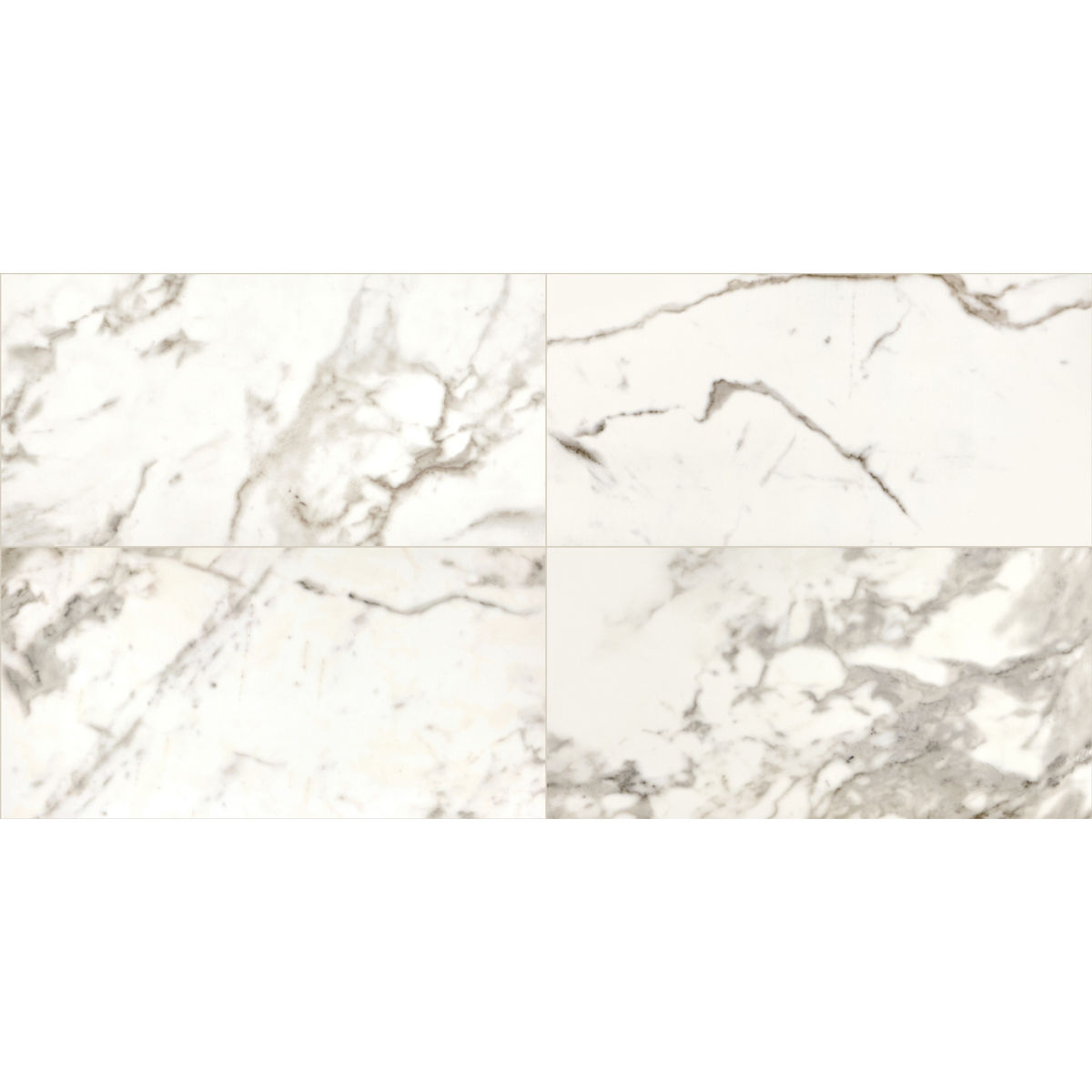 Marble Attache Calacatta 12x24