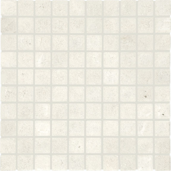 Everest 24X24 Floor Tile | Montelierre by Daltile