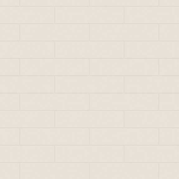Ivory Primrose 62x96 Matte Wall Tile | Marvellaire by Daltile