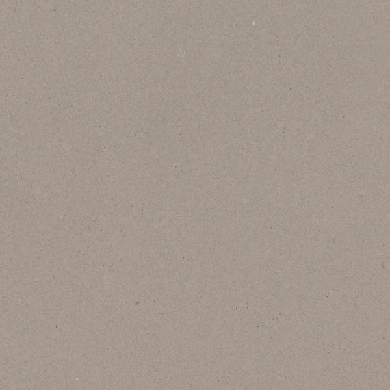 Ash Grey NQ69