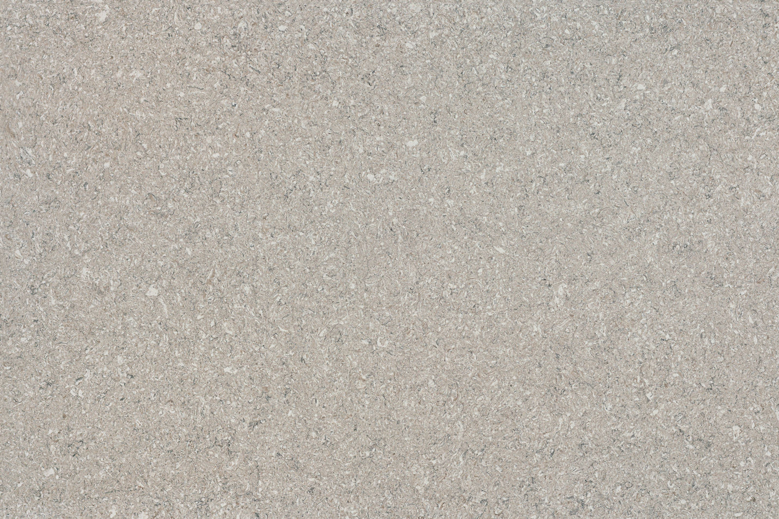 Aspen Grey Quartz scene 2