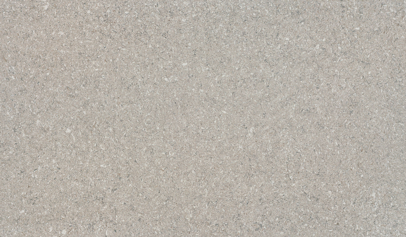 Aspen Grey Quartz scene 1