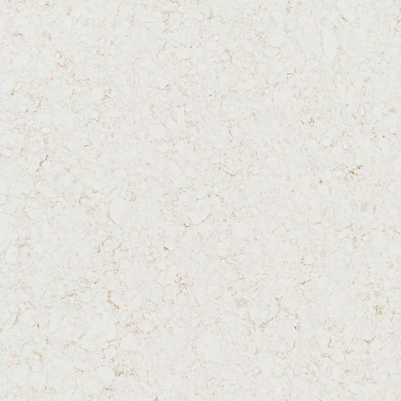 DAL_OQ68_OuterBanks_POL_Slab_01_2000_zoom_web
