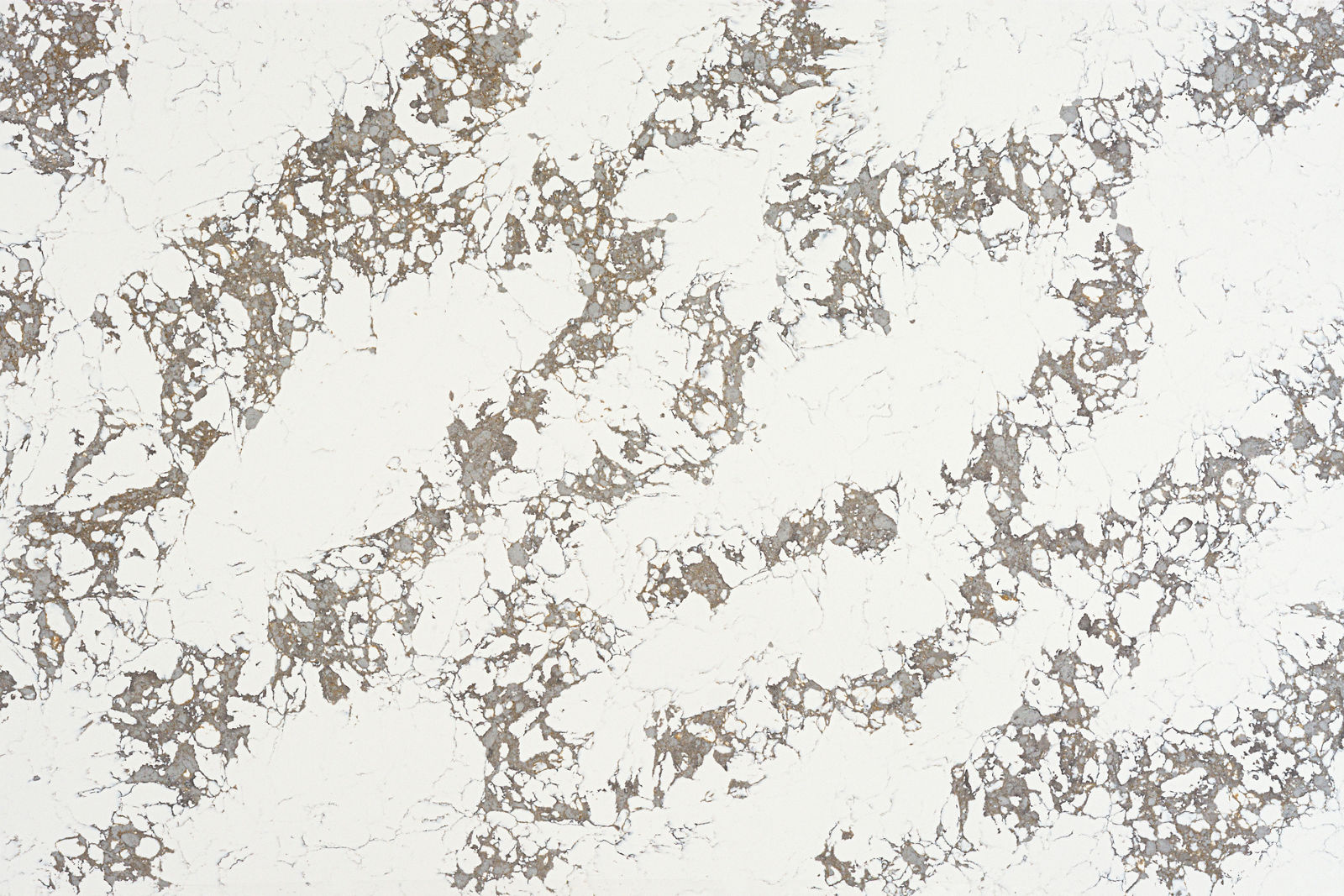 Arctic Arabescato Quartz scene 1