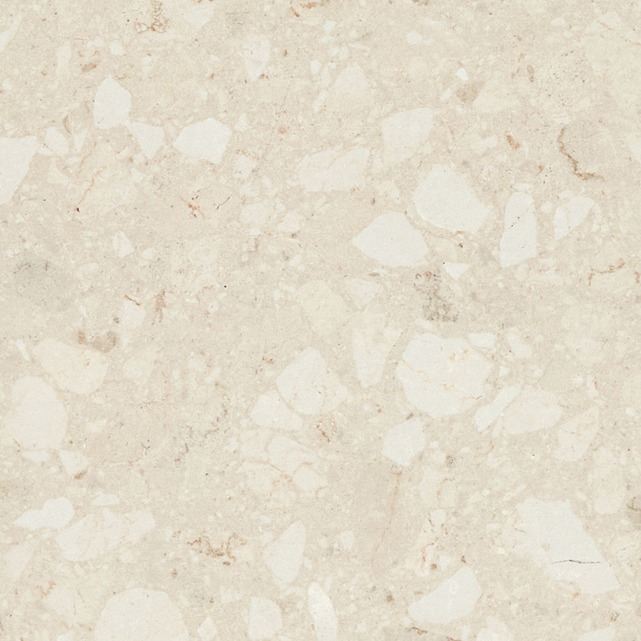 DAL_OU53_24x48_Lumen_Medio_MT_Detail