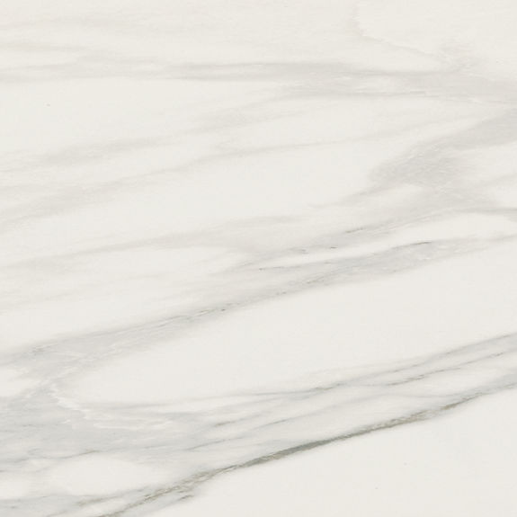 PT21 Brilliant White