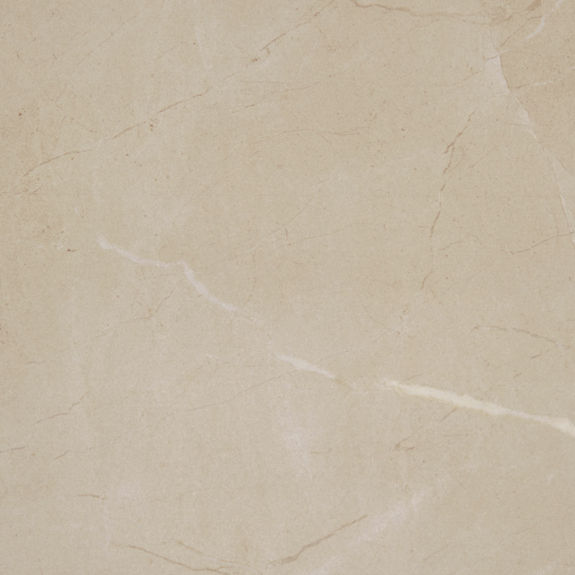 Elegant Beige