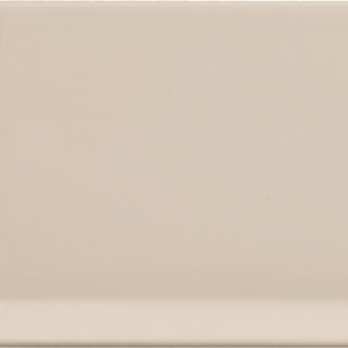 DAL_RB42_4x120_WallBase_SugarCookie_MT_Silo_01