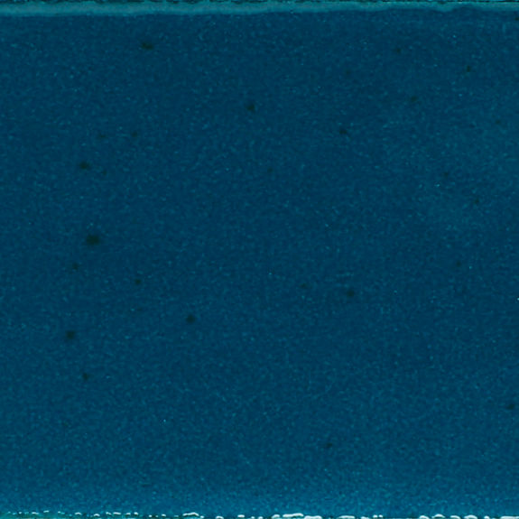 Oasis Rectangle 2X10 Handcrafted Glossy