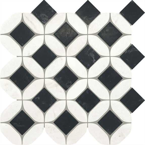 Black and White Garden