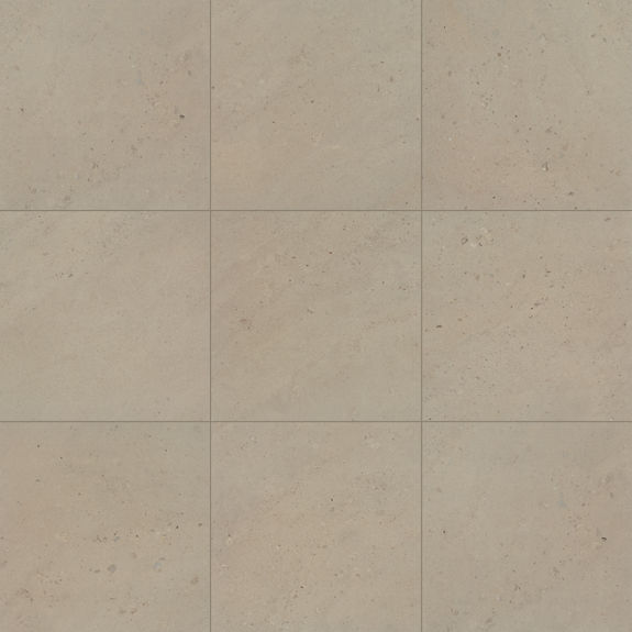 Tundra 24X24 Stone Look | Sand and Stone by Daltile