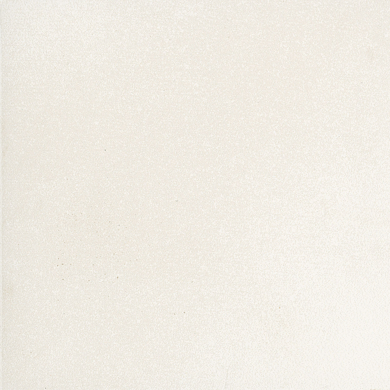 DAL_VL75_12x12_SonicWhite_Silo_01