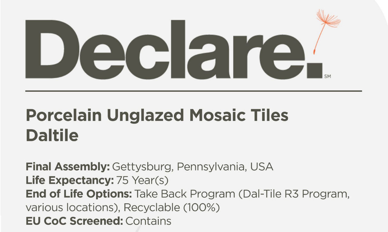 Declare_Porcelain_Unglazed_Mosaic_3