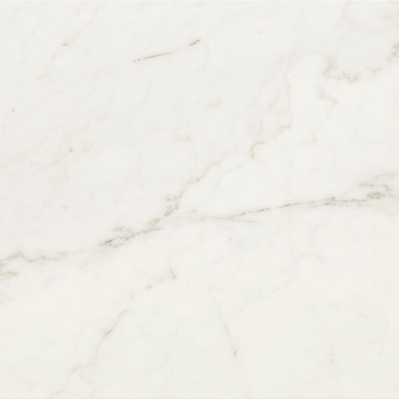 MZ_CT30_24x48_PalazzoWhite_Pol_1