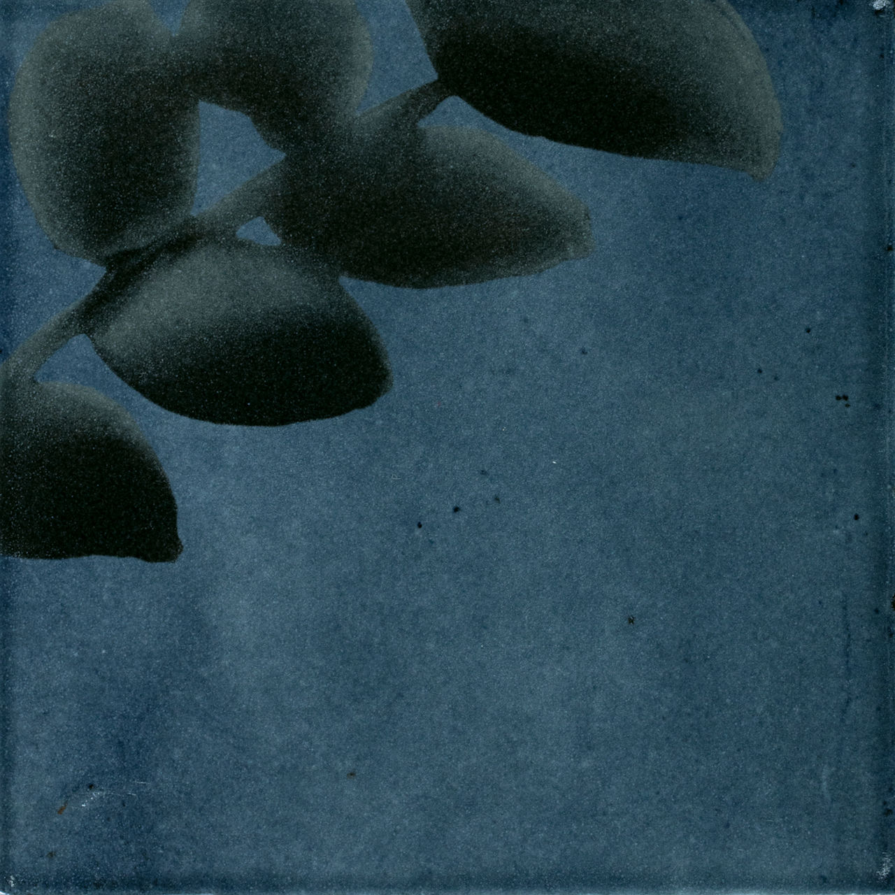 Blu Deco Blossom, Square, 6X6, Glossy