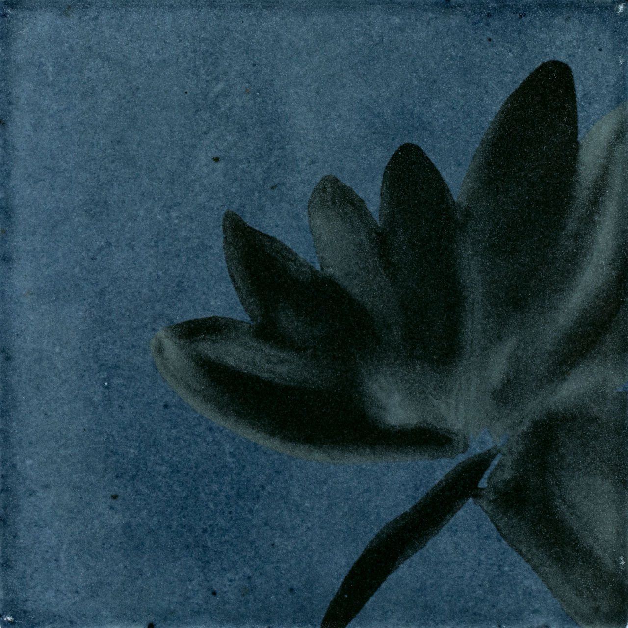 Blu Deco Blossom, Square, 6X6, Glossy