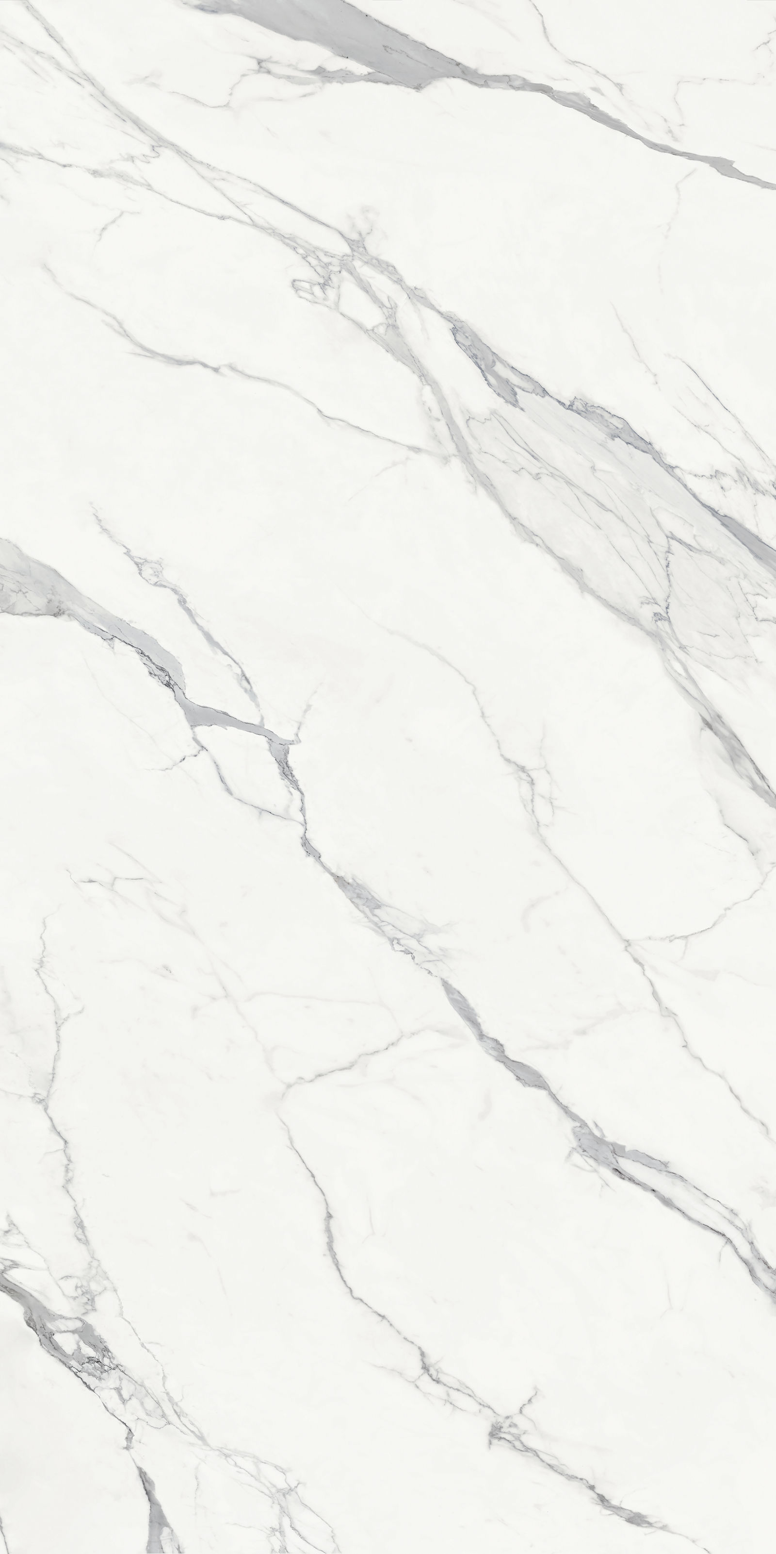 Sterling Calacatta Porcelain