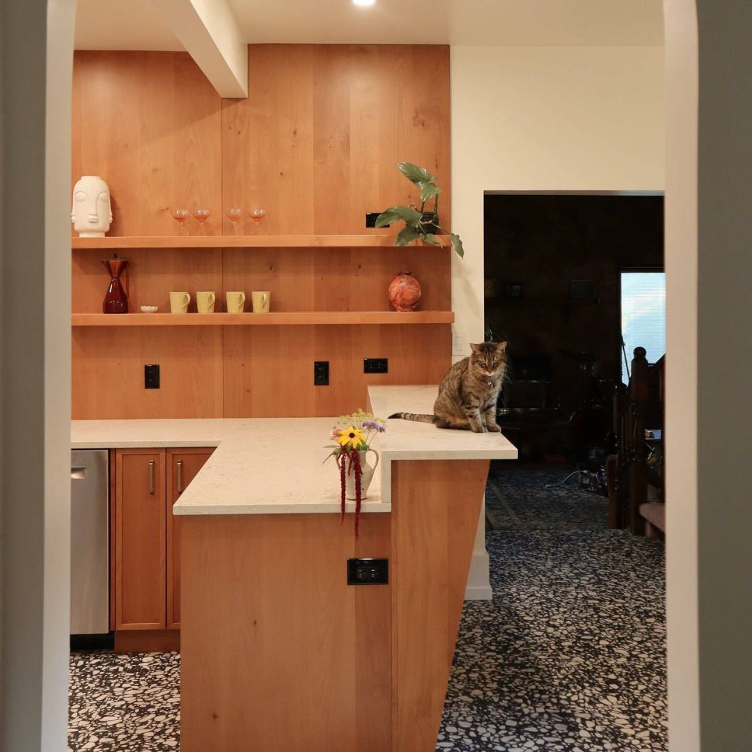 Cat sitting on white monochromatic look countertop.