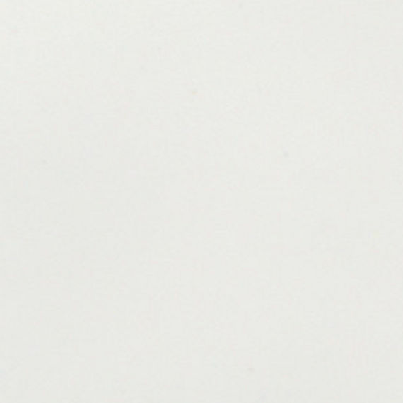 0190 Arctic White