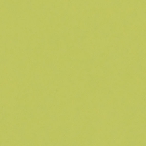 1098 Key Lime