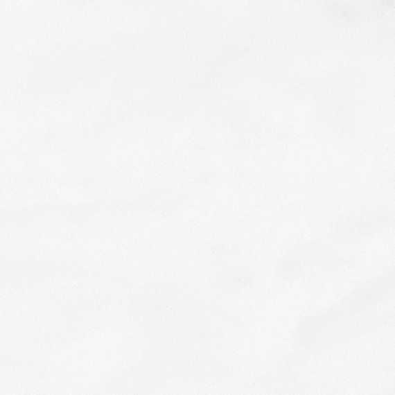 PT20 Timeless White