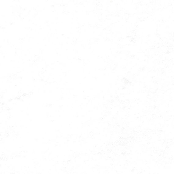 PT21 Brilliant White