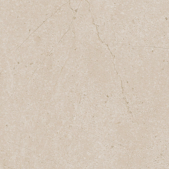 PT22 Elegant Beige