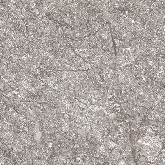 PT23 Eternal Grey