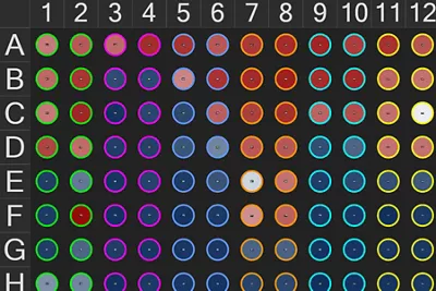 Optimized analysis with Aivia launchpad 