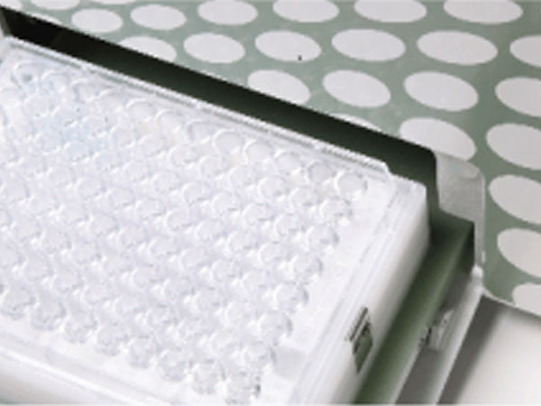 CytoFLEX Flow Cytometer