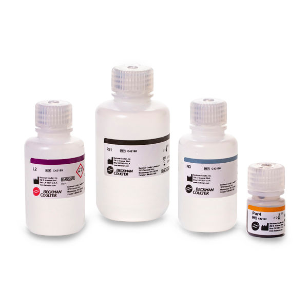 DNA Plasmid Purification