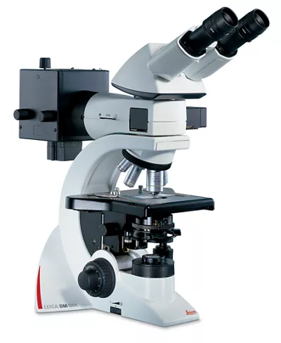 Leica Microsystems Dm 1000 Image2
