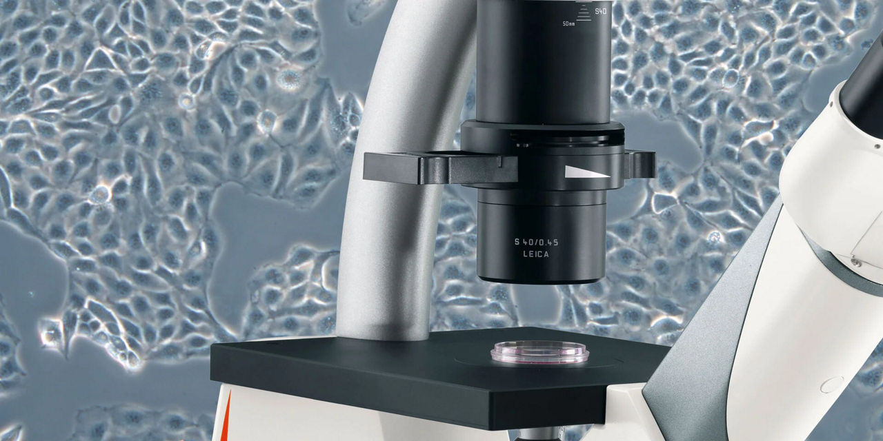 DMi1 Inverted Microscope for Cell Culture